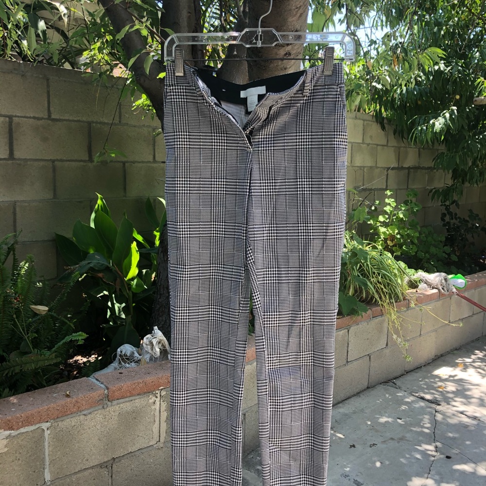 Dress Pants